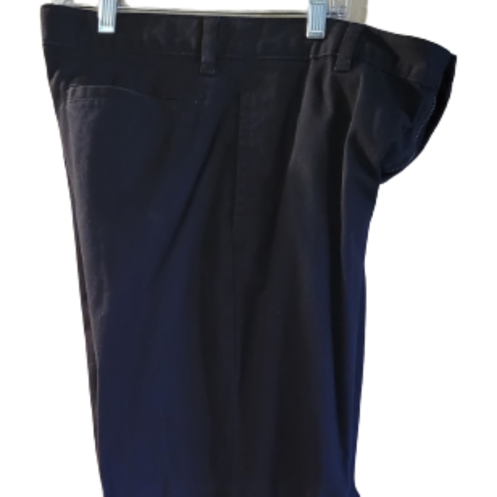 Dress pants